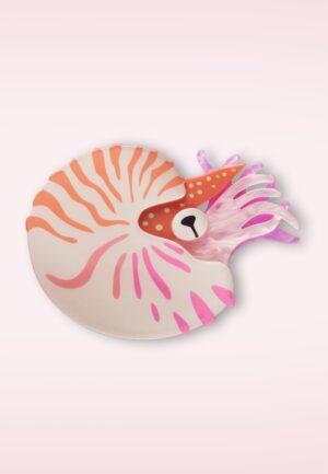 Chambered Nautilus broche