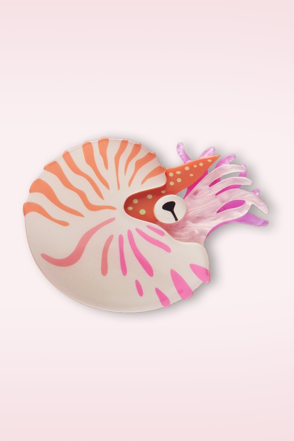 Chambered Nautilus broche