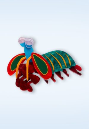 Peacock Mantis Shrimp broche