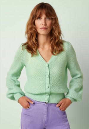 Cardi V Farfalle in cameo groen